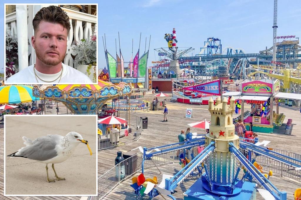 New Jersey man takes brutal action against seagull that took child's food