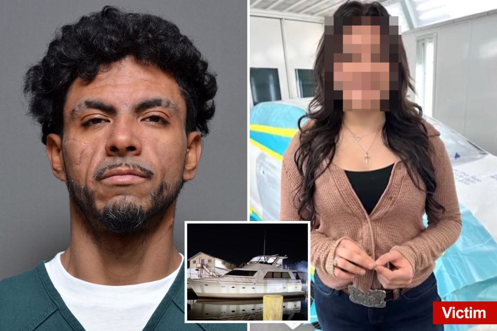 New disturbing charges against man accused of raping Emmarae Gervasi