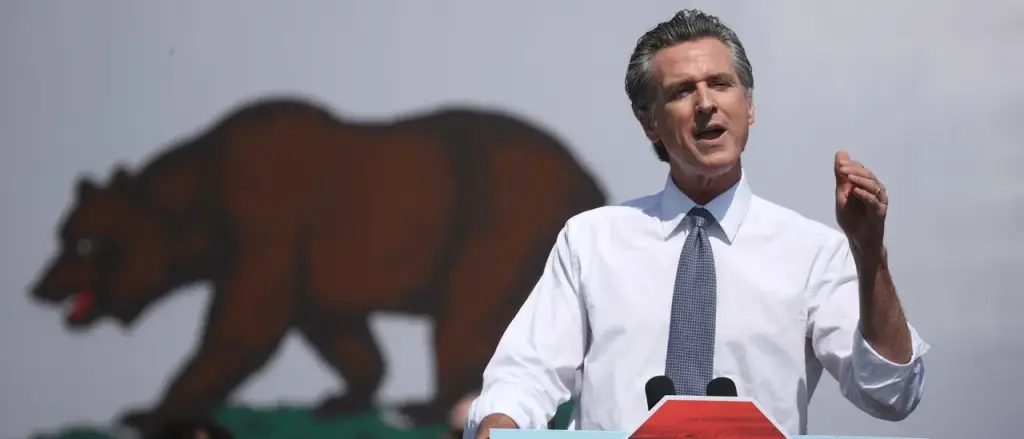 Newsom's 'Deeply Biased' Plan Might Silence GOP Representation in Congress, Says Republican Candidate Steve Hilton