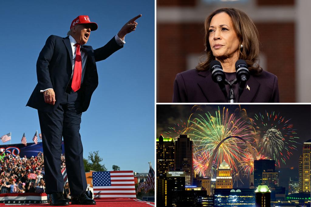 Only 50% of Democrats view themselves as patriots, surprising poll reveals