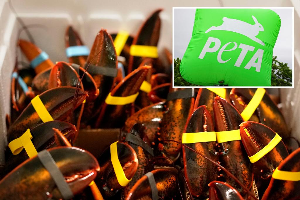 PETA labels the Maine lobster festival as 'extremely cruel' in a recent lawsuit against the city.