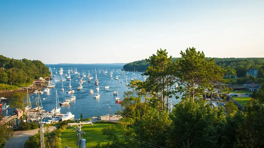 Paddleboarder dies in local pond, authorities request public assistance