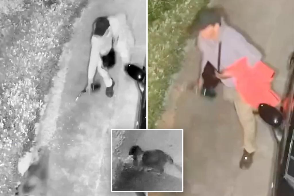 Person filmed attempting to set raccoon on fire with blowtorch