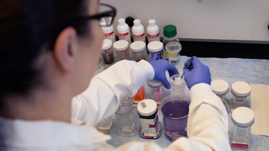 Perspectives from the front lines of Trump’s conflict with the science community