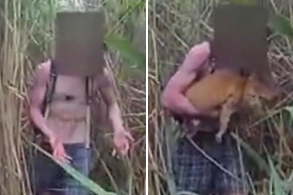 Police save teenager and his pet cats stranded in Massachusetts swamp