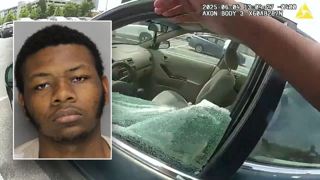 Police save two young children found in a hot car: video