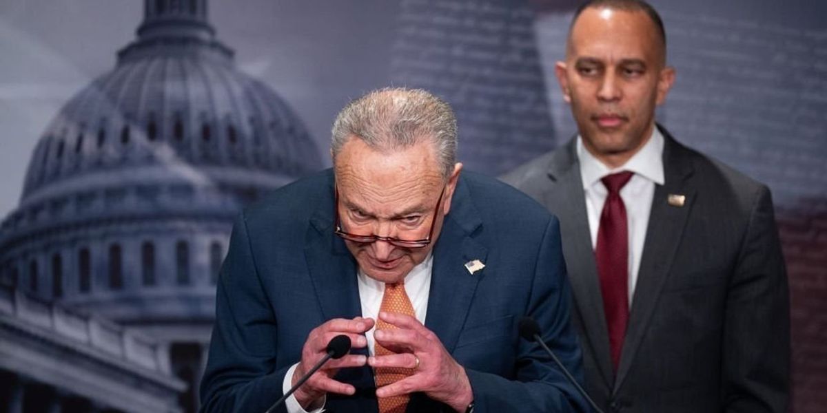 Poll results show: What Democrats are trying isn't effective