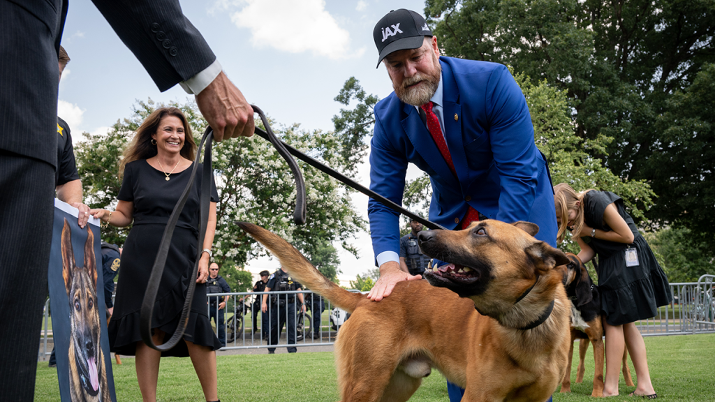 Proposed legislation aims to increase penalties for assaults on police dogs and horses.