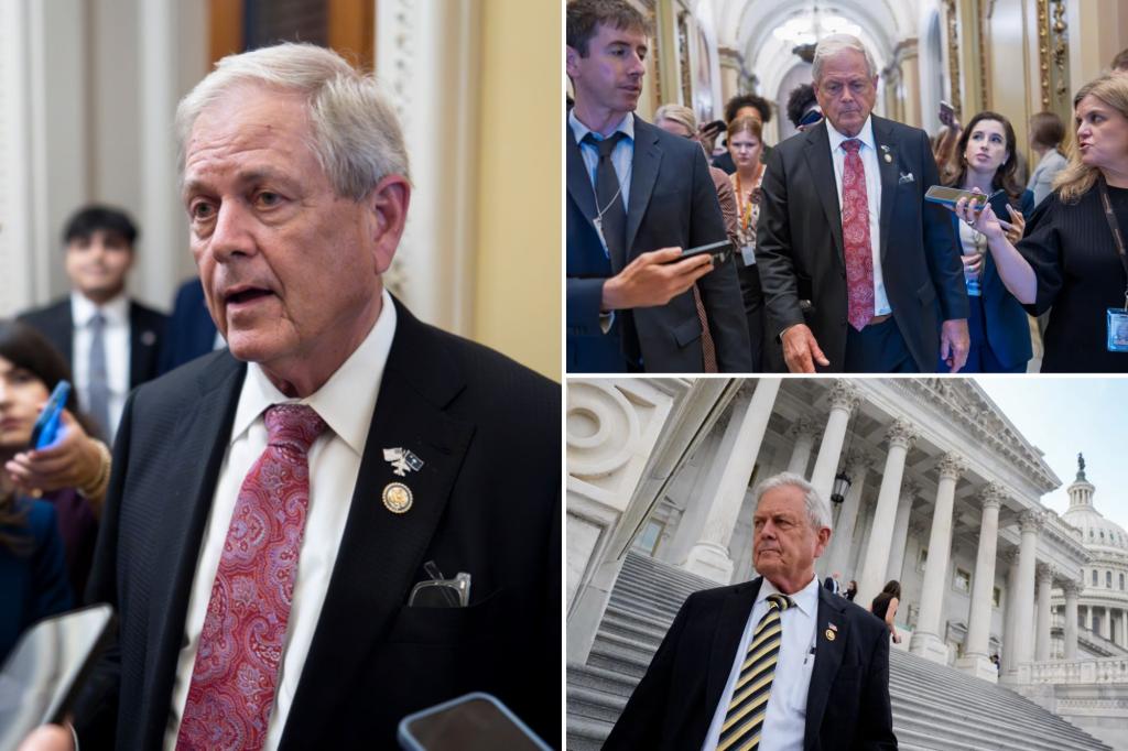 Ralph Norman, a conservative representative, will join the race for governor of South Carolina.