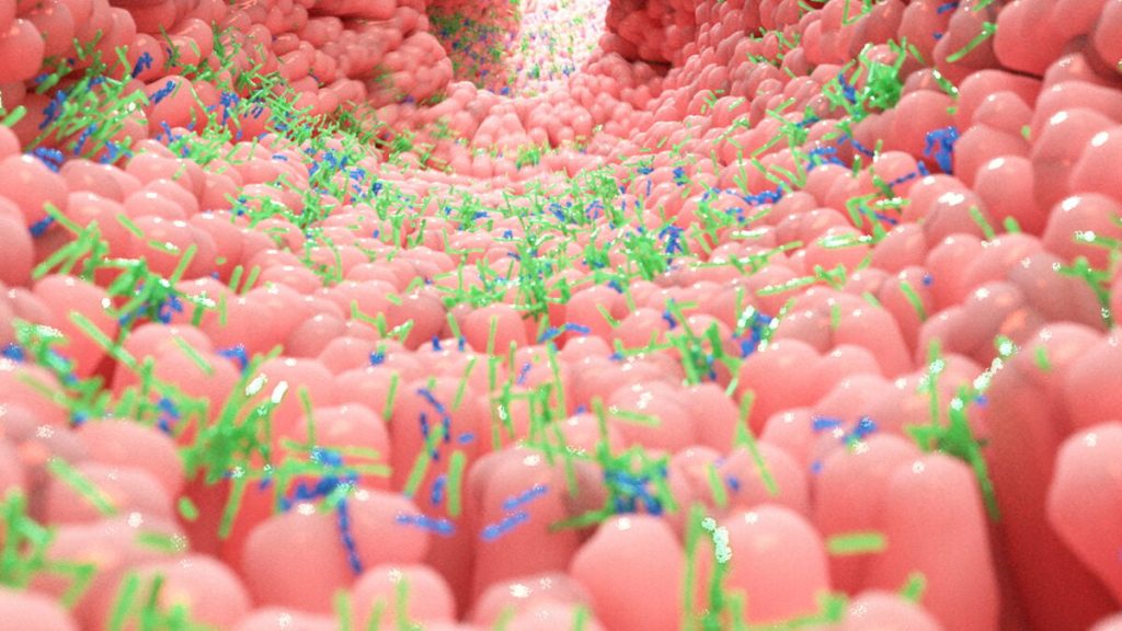 Recently Found Gut Mechanism May Alter Our Understanding of Hunger and Well-being