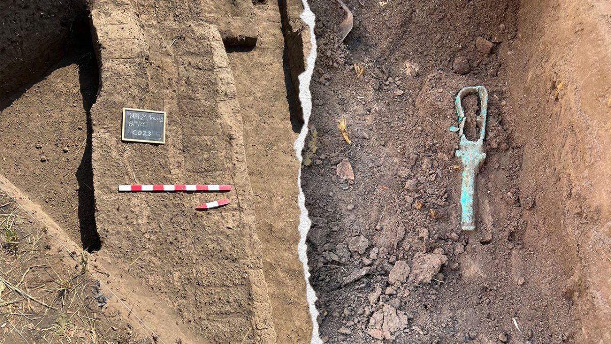 Recently uncovered ancient tower homes in the Nile Delta show a prosperous Ptolemaic city.