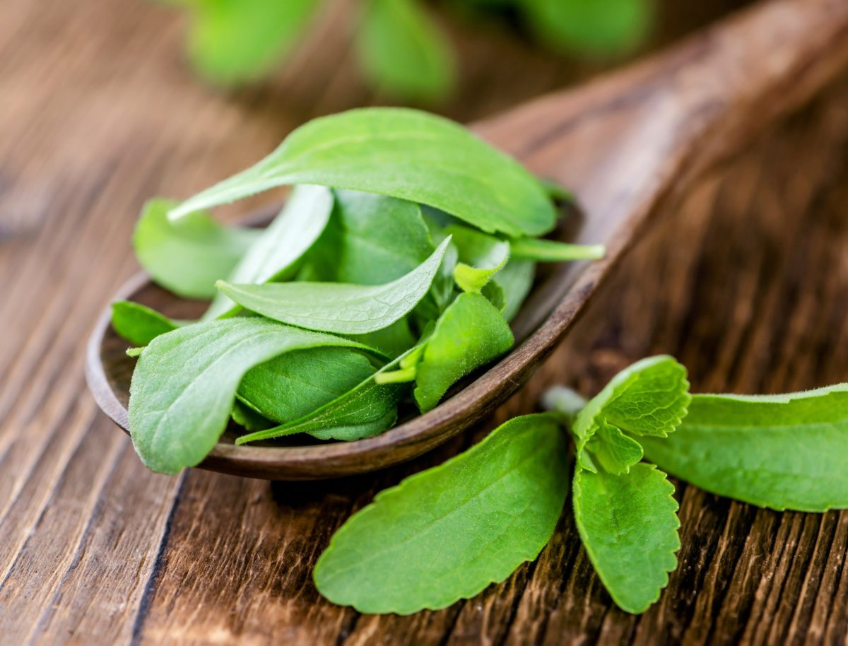 Reconsidering stevia: The sweet plant that could help combat cancer