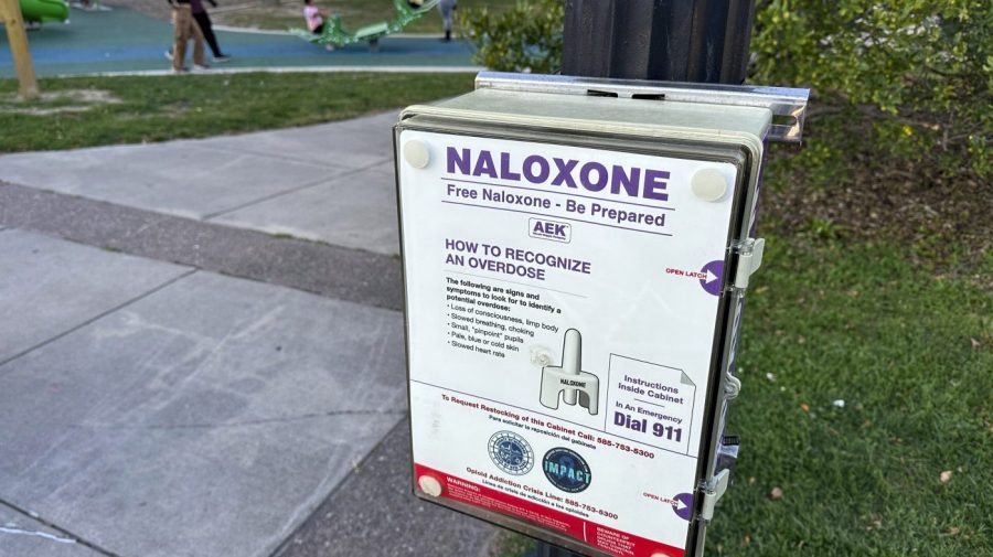 Reducing federal naloxone funding is harsh and will be expensive.
