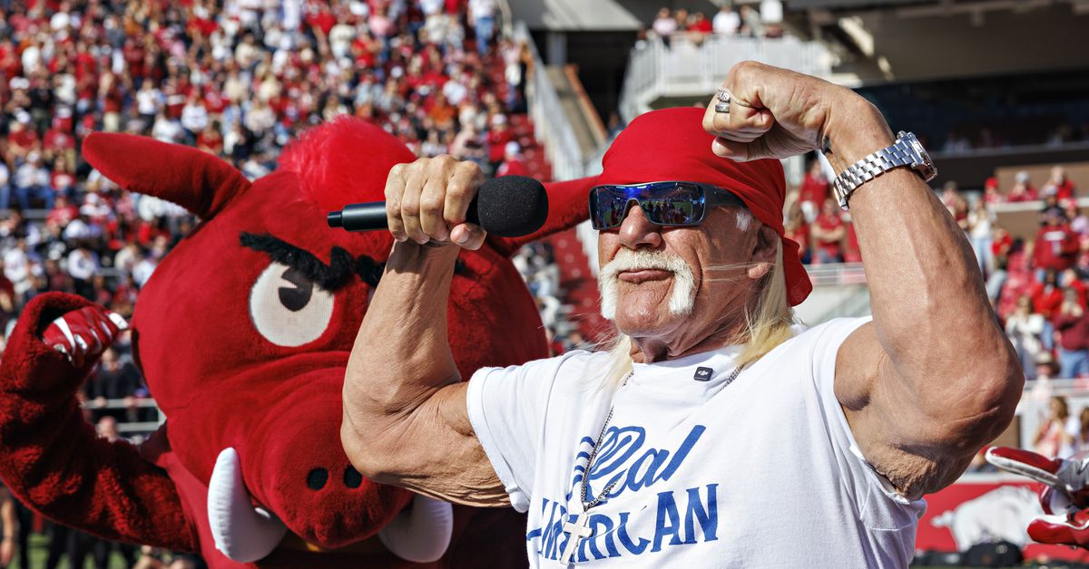 Reflecting on Hulk Hogan, the racist, opportunist, self-centered leader of professional wrestling