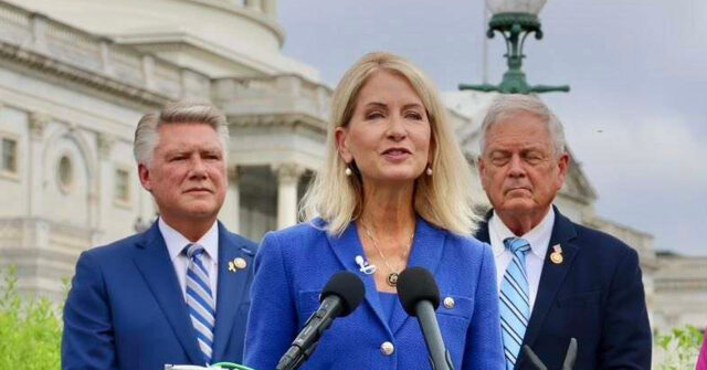 Rep. Mary Miller Urges Resignation of Teachers Union President