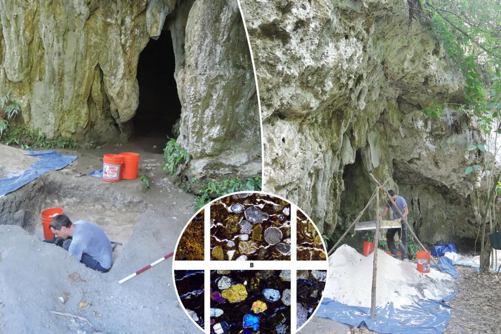 Researchers find rice that is 3,500 years old