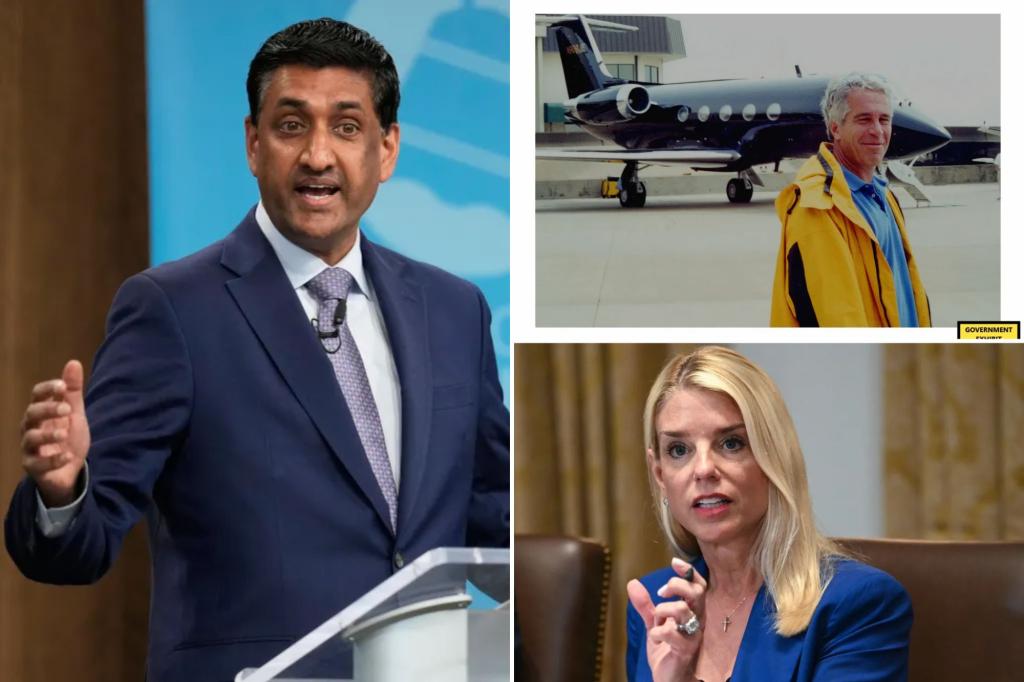 Ro Khanna's attempt to compel the release of Epstein documents fails in the House
