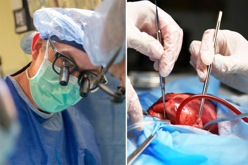 Scientists explore fresh methods to save more hearts for transplant use.