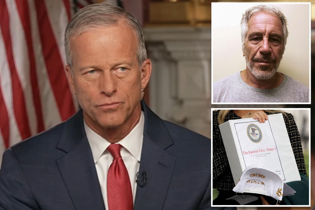 Senate Majority Leader John Thune backs complete transparency regarding Epstein documents