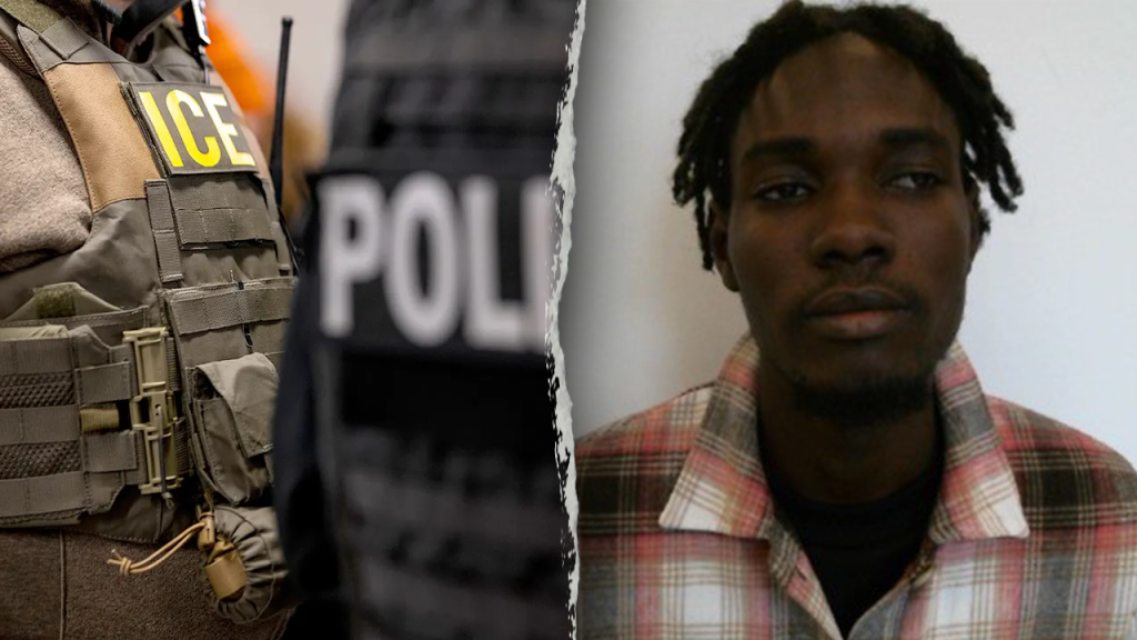 Senegalese immigrant accused of trying to attack ICE officials