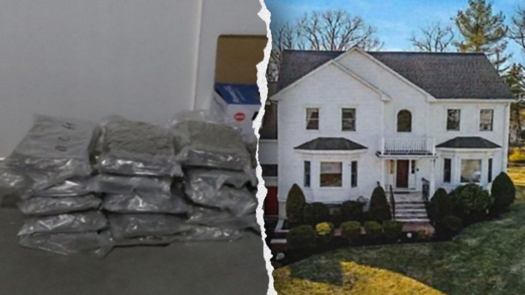 Seven individuals from China accused in a multimillion-dollar cannabis scheme