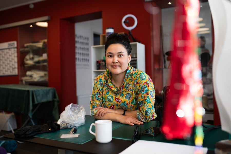 Sled dogs and rare earths: Our experience in Greenland's development challenges