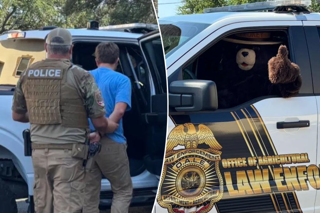 Smokey the Bear detains a man for reportedly taking his signs in Florida to sell online.