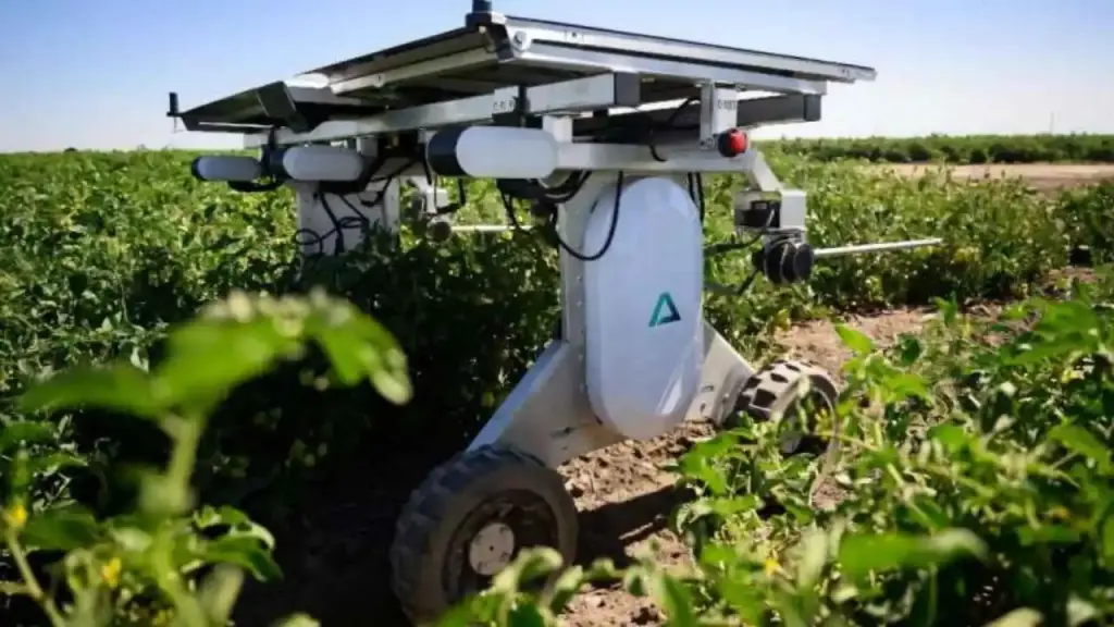 Solar-powered weeding robots provide farmers with a way to farm without using herbicides.