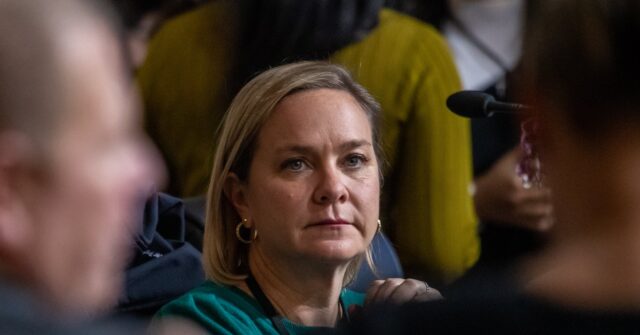 Some Politicians and Companies Are Attempting to Take Advantage of the Fire