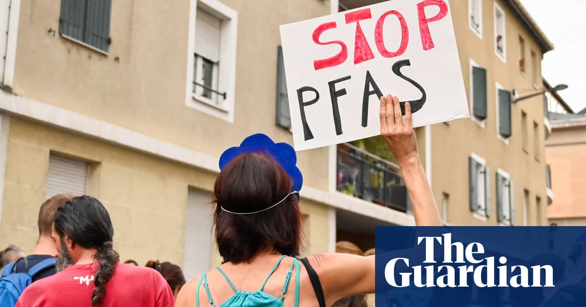 Some gut bacteria can take in and assist in removing 'forever chemicals' from the body, study finds