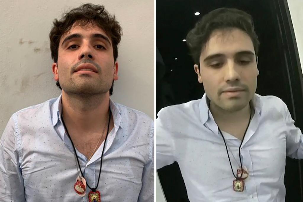 Son of drug lord 'El Chapo' confesses in US drug case, seeks to escape life sentence