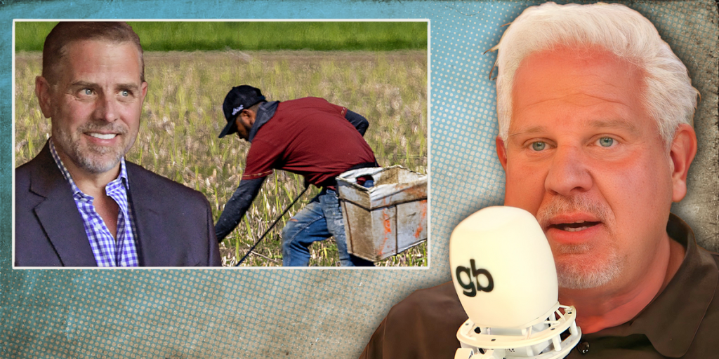 Strange defense by Hunter Biden regarding illegal immigration