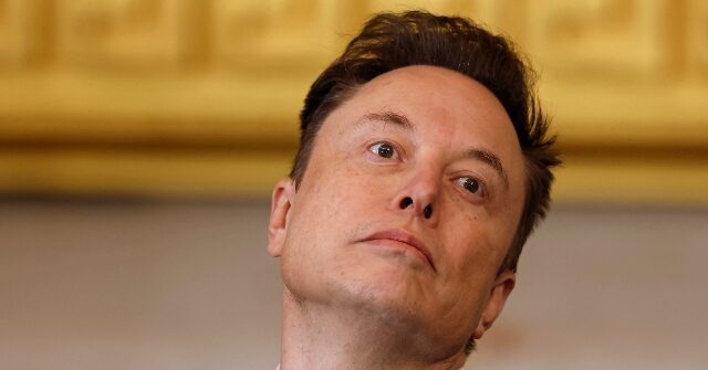 Tesla's Sales Chief for North America Leaves Amid Ongoing Decline in EV Sales