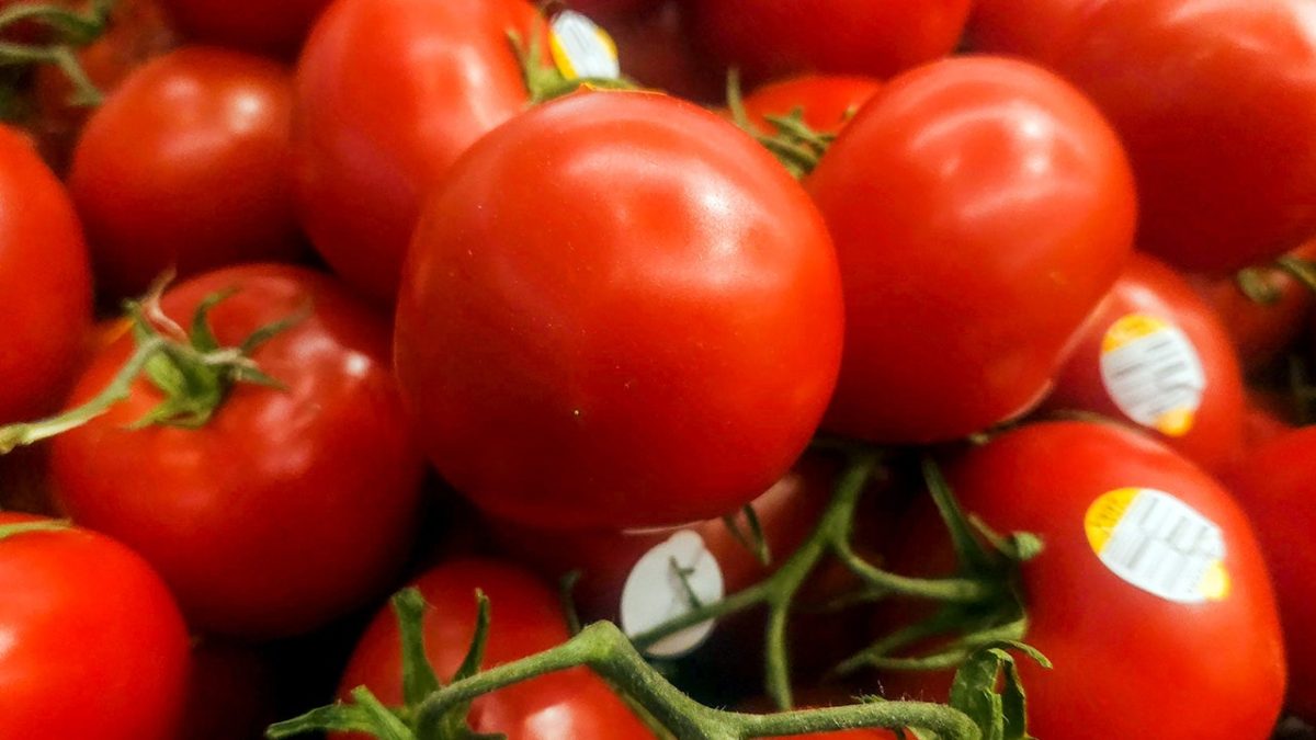 The Mexican tomato tax ignites discussion among US farmers and importers.
