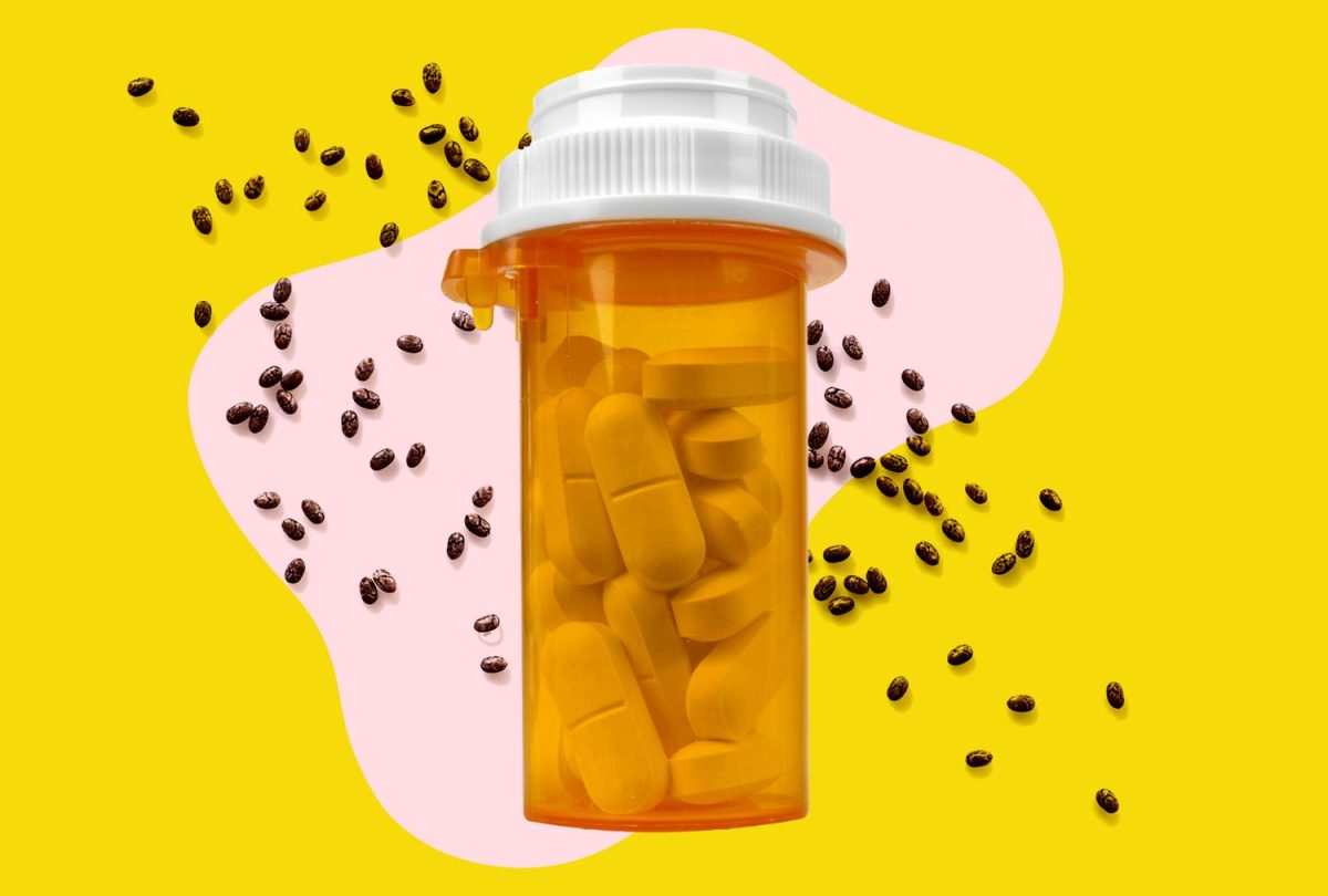 The Potential Effects of Chia Seeds on Your Medications