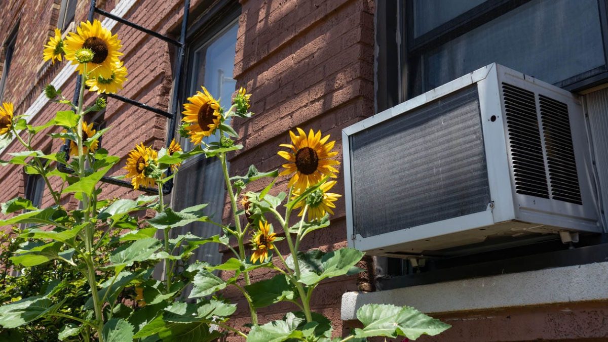 The best air conditioner deals to help you stay cool this summer