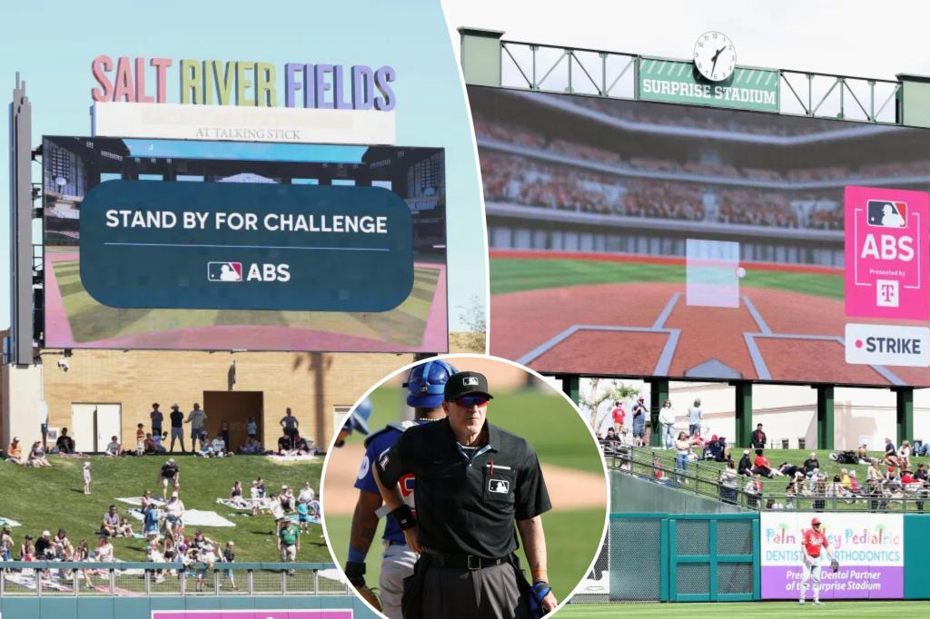 The possible new strike zone challenge system in MLB introduces an added strategic element — exposing the team's concerns.