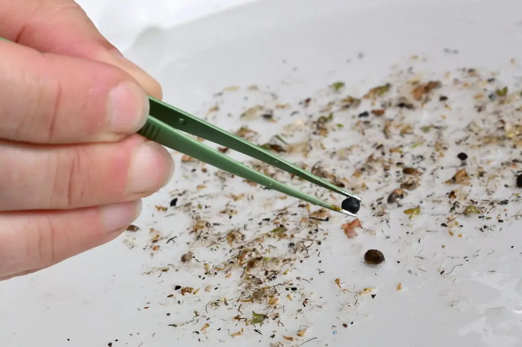 The reality of microplastics claims and the scientific standards required
