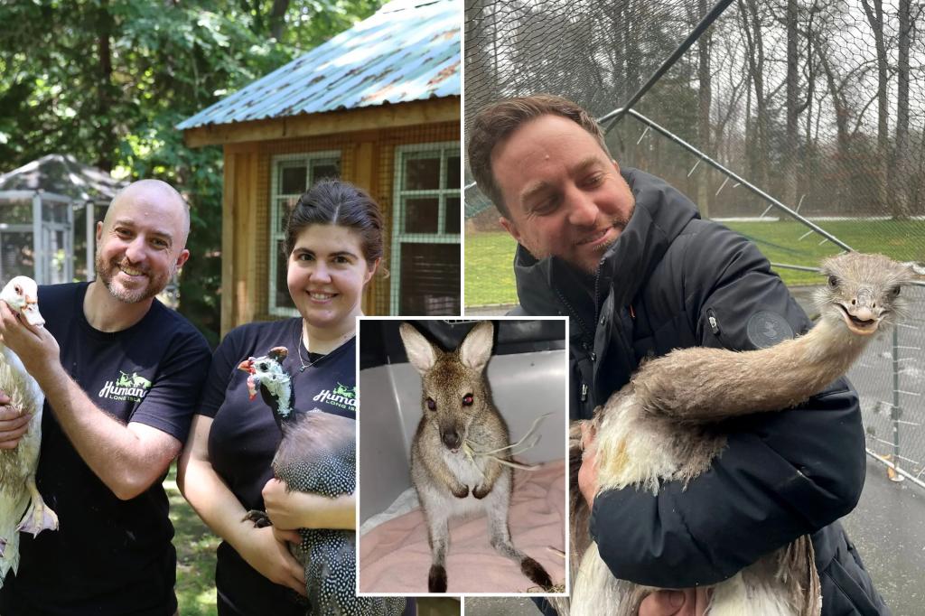 These are the most surprising recent exotic animal rescues in NYC and Long Island.