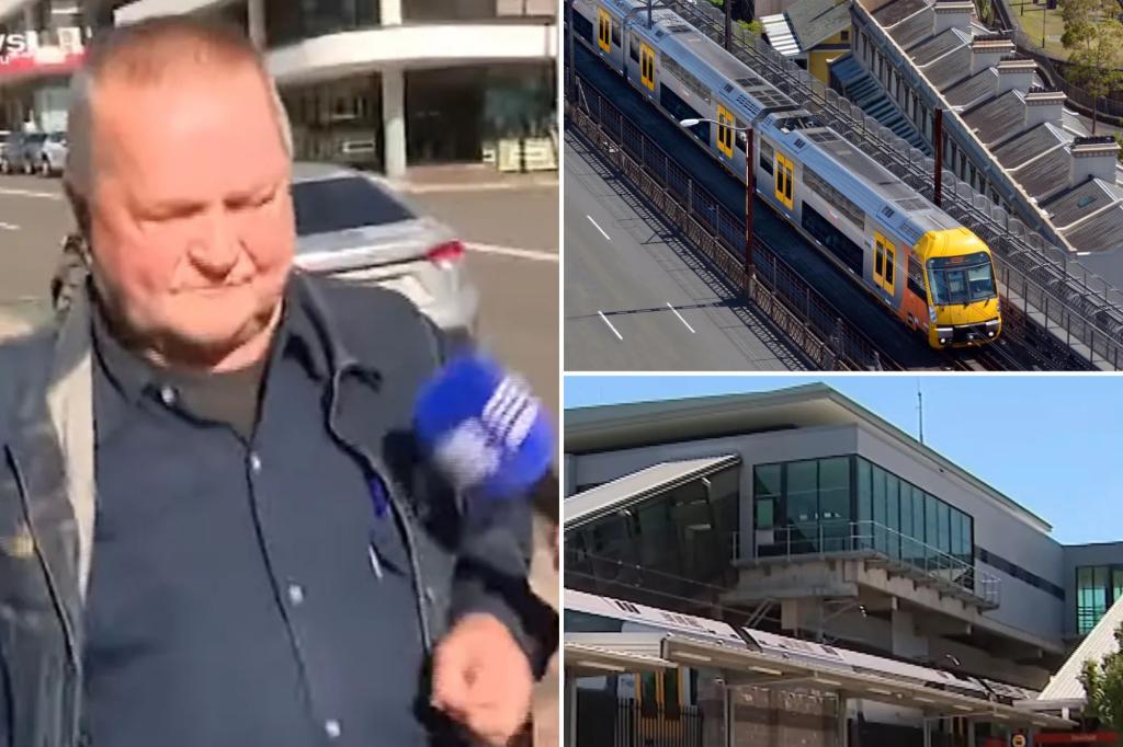 Train passenger Emil Holaj in Australia detained after finding and taking money from a lost bag