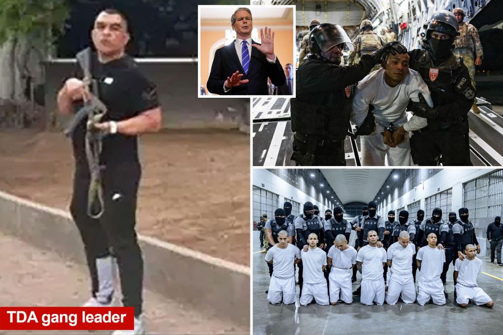 Treasury reveals sanctions against Tren de Aragua leaders and other major gang figures