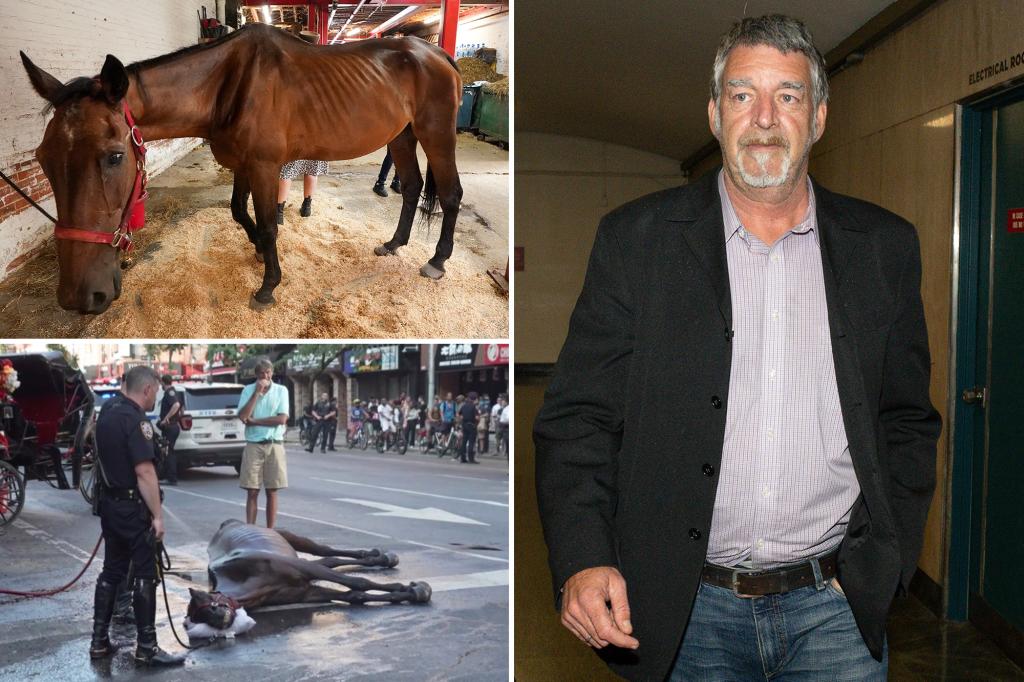 Trial in NYC for the death of carriage horse Ryder begins