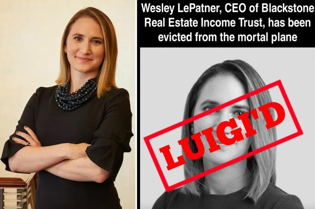 Trolls create Luigi Mangione-style memes about Blackstone executive Wesley LePatner following his death in a NYC shooting