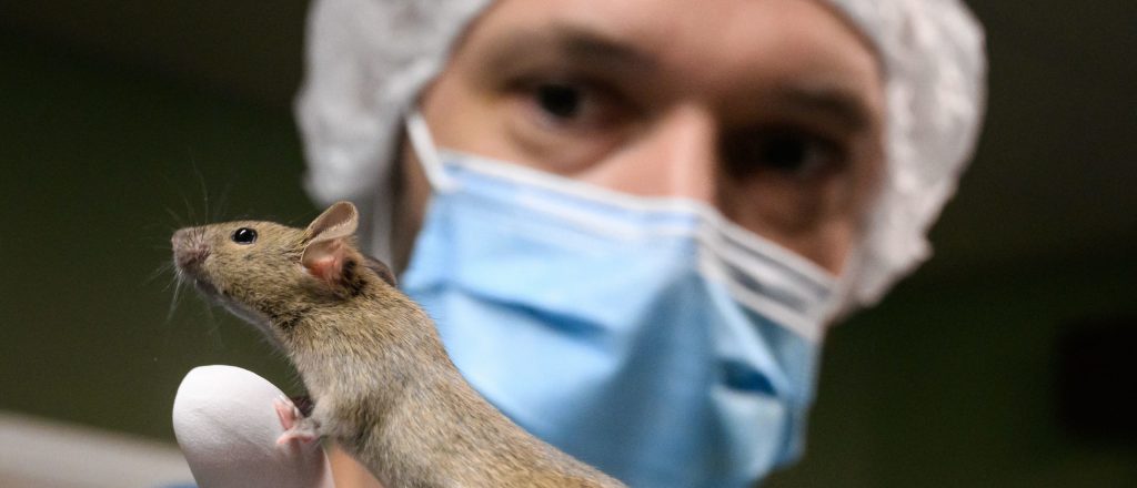 Trump Administration Hurries To Secure Shelters For Animals Previously Used In Experiments During Biden's Tenure