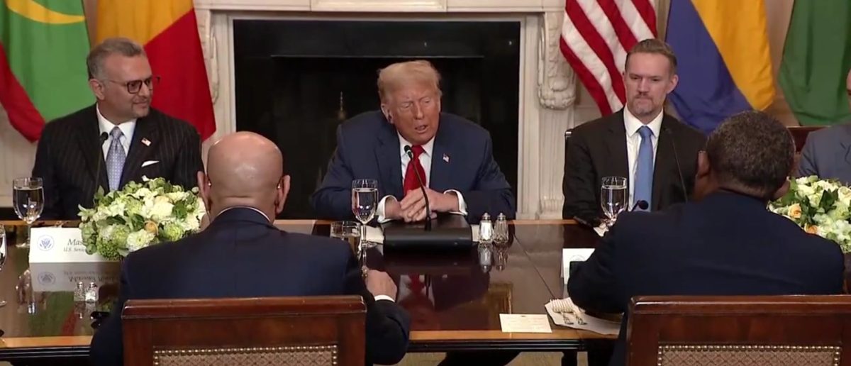 Trump Urges Talkative African Leaders to Get to the Point