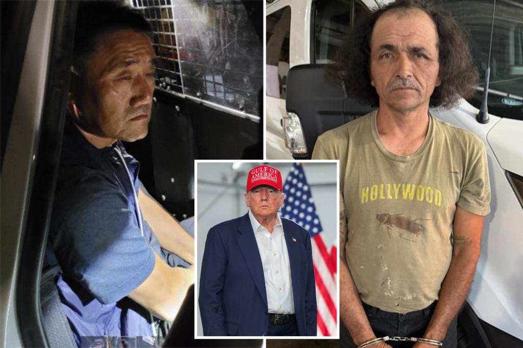 Trump administration halts transfer of illegal immigrant offenders to California for legal action.