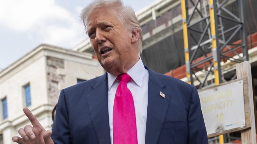 Trump describes the Epstein situation as a Democratic scheme.