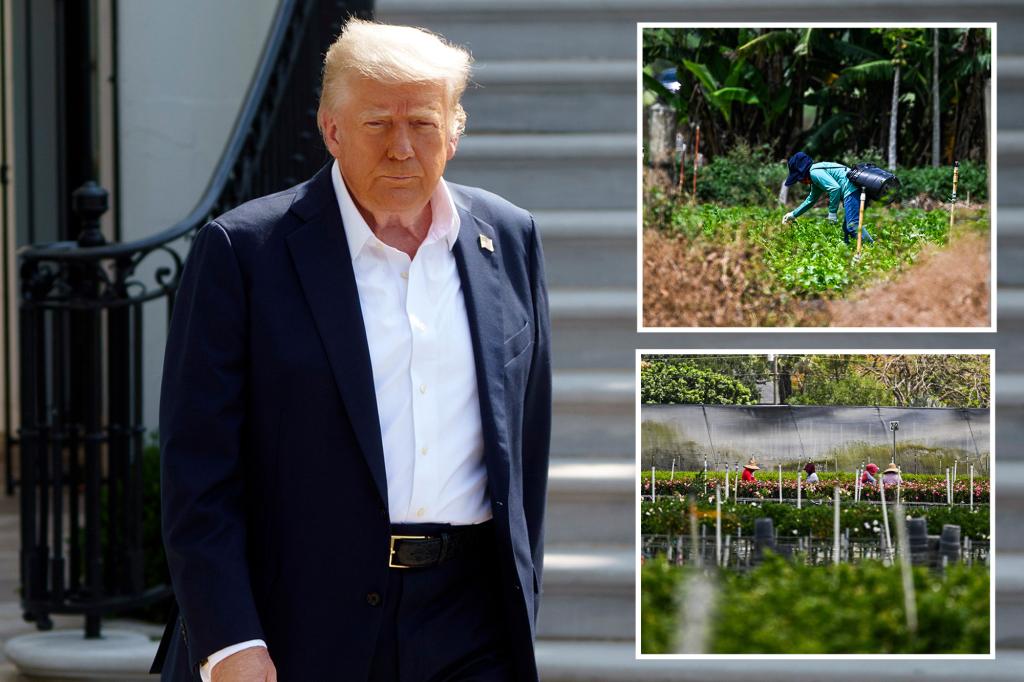 Trump introduces a new initiative for migrant workers following criticism from farmers.