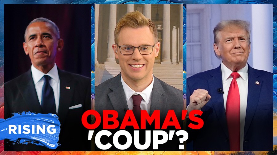 Trump reacts to Tulsi Gabbard reveal: ‘Irrefutable proof of Obama coup’  