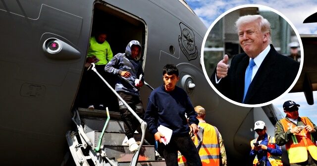 Trump's Major Attractive Plan Will Remove More Unauthorized Immigrants